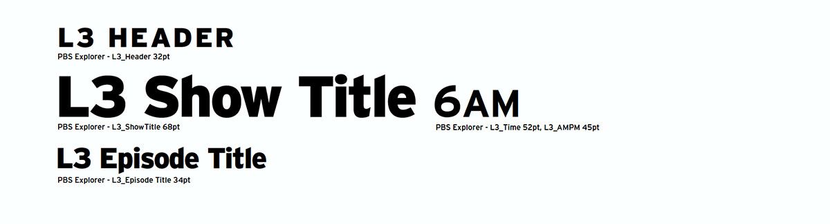 PBS L3 Header sample 