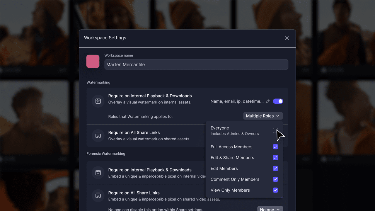 Granular-permission watermarking